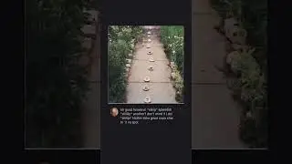 memes from internet