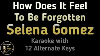 Selena Gomez How Does It Feel To Be Forgotten Karaoke Instrumental Lower Higher Male & Original Key