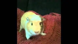 Charlie