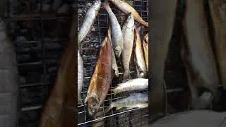 Коптим форель