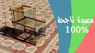 كيف تصنع مصيدة للطيور 3