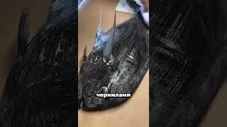How did Japanese fishermen preserve their catch without cameras?
