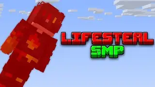 I Died on the Lifesteal SMP*