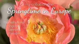Exploring The Beauty Of Springtime In Europe With My Amazing Friends