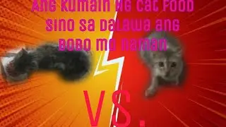 Ang Cat Food At Ang Kumain Nito