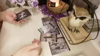 💯🤷‍♀️Шедеврально🔥. Он круто попал 🔥. Что он понял о Ваших отношениях💯🤷‍♀️