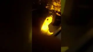 Gizli çekim