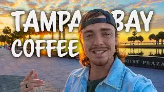 Best Coffee In Tampa Bay