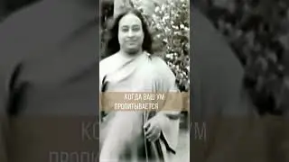 Яд негативных мыслей