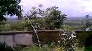 Tikitoriya sharabali