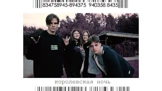 Королевская ночь {Академия личности}