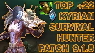 Kyrian Survival Hunter - +22 Theatre of Pain (TOP) 9.1.5