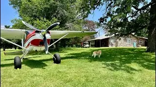 2024.4 Cabin Fever