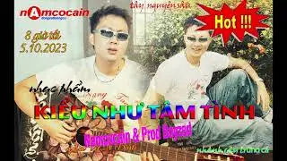 Kiểu Như Tâm Tình - NamCocain Instrumental