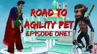 RuneScape: Road to Agility Pet | EP1 | Dilligy?