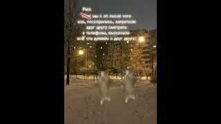 у кого так же? #котики#happyhappyhappy#видеонепотеме#🐱