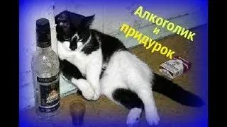 Кот Алкоголик и Придурок vs Ленинград
