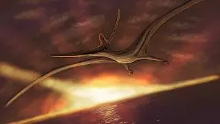 What Was Life Like During The Cretaceous Period?