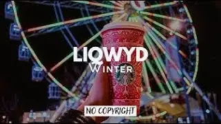 🎥LiQWYD - Winter │Vlog│Free music [No copyright sound]