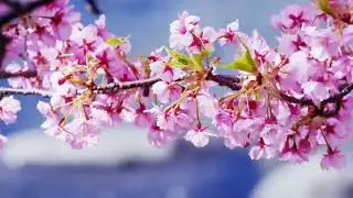 【天际---帽子姐】 fatigue relief music 疗愈音乐 - 放松解压,放鬆身心,音樂 ,適合放鬆,療癒,舒眠,減壓 ,读书