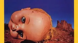 America - Survival