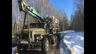 Лесозаготовка 2022 или как я провел зиму