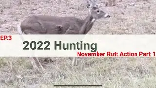 Oklahoma Hunting Trip. Let An Arrow Fly!
