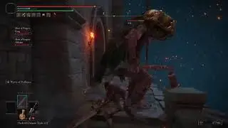 Elden Ring Co-op