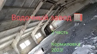 Заброшенный Водочный завод 🏭2 часть