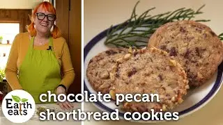 Simply Delicious Chocolate Pecan Shortbread Freezer Cookies