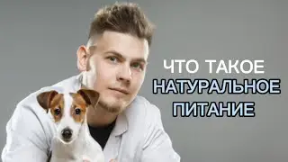 Что такое натуральное питание, кому оно подходит и зачем на него переводить?