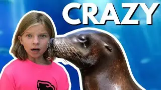 11 Must See Animals At The North Carolina Zoo