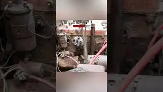 No one believed this rusted engine would run again Credit @SimonFordman