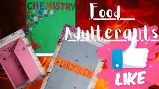 Chemistry Investigatory Project File Class 12 | Food Adulterants | Pdf link in description #cbse