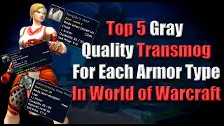 Top 5 Gray Quality Transmog For Each Armor Type In World of Warcraft
