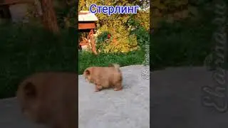 7 июля 2020 г.