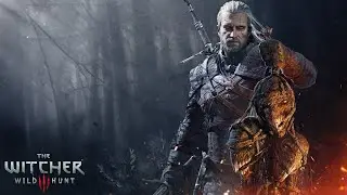 Witcher 3 Wild Hunt playthrough