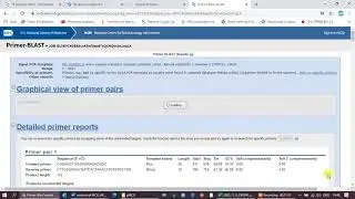 qPCR primer design for CRISPR cas9 KO verification
