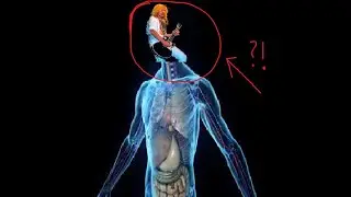 What Free Bird solo does to a human body [GMod meme]