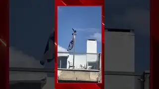Умная ворона что то знает!