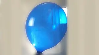 Huge blue balloon blow to POP (balloon BTP) #80