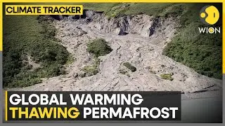 Permafrost: Carbon sink to source of pollution | WION Climate Tracker