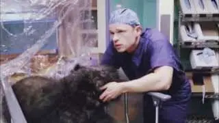 ER friendships - 