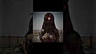 Бесконечное лето эдит 