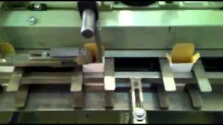 Vertical, alternate motion cartoner Cam AV65.mp4