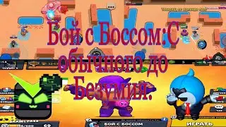 Бой с Боссом:с обычного до безумия.