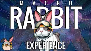 MACRO RABBIT IN 2021!? | The Yu-Gi-Oh! Macro Rabbit Experience