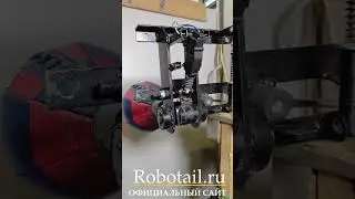 Не спускается груша на силомере Rocky Boxer