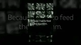 Feeding the algorithm