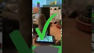 The BEST Macro Setup On MOBILE! (potato on phone 😭) (Bee Swarm Simulator) 